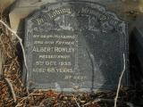 image of grave number 720241